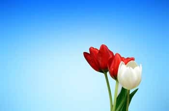 电话在线轰炸网页版