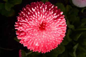 在线电话压力测试